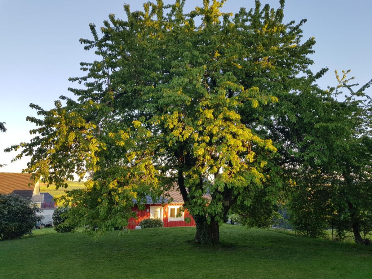 Ferienhaus Loeh Kleinmaischeid Kültér fotó