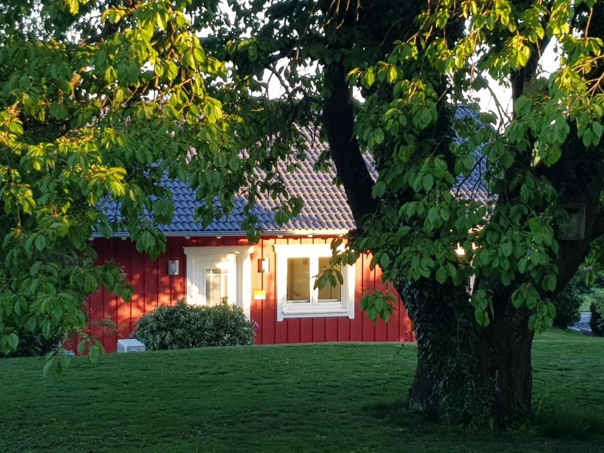 Ferienhaus Loeh Kleinmaischeid Kültér fotó