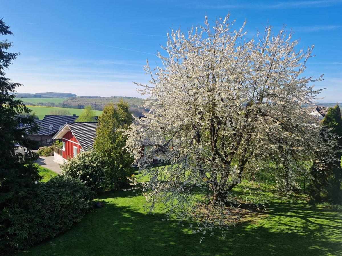 Ferienhaus Loeh Kleinmaischeid Kültér fotó